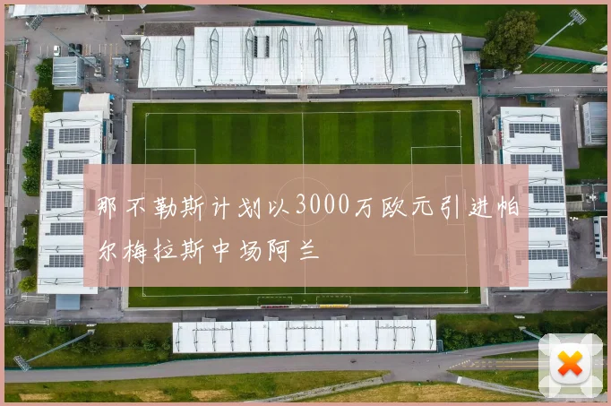那不勒斯计划以3000万欧元引进帕尔梅拉斯中场阿兰